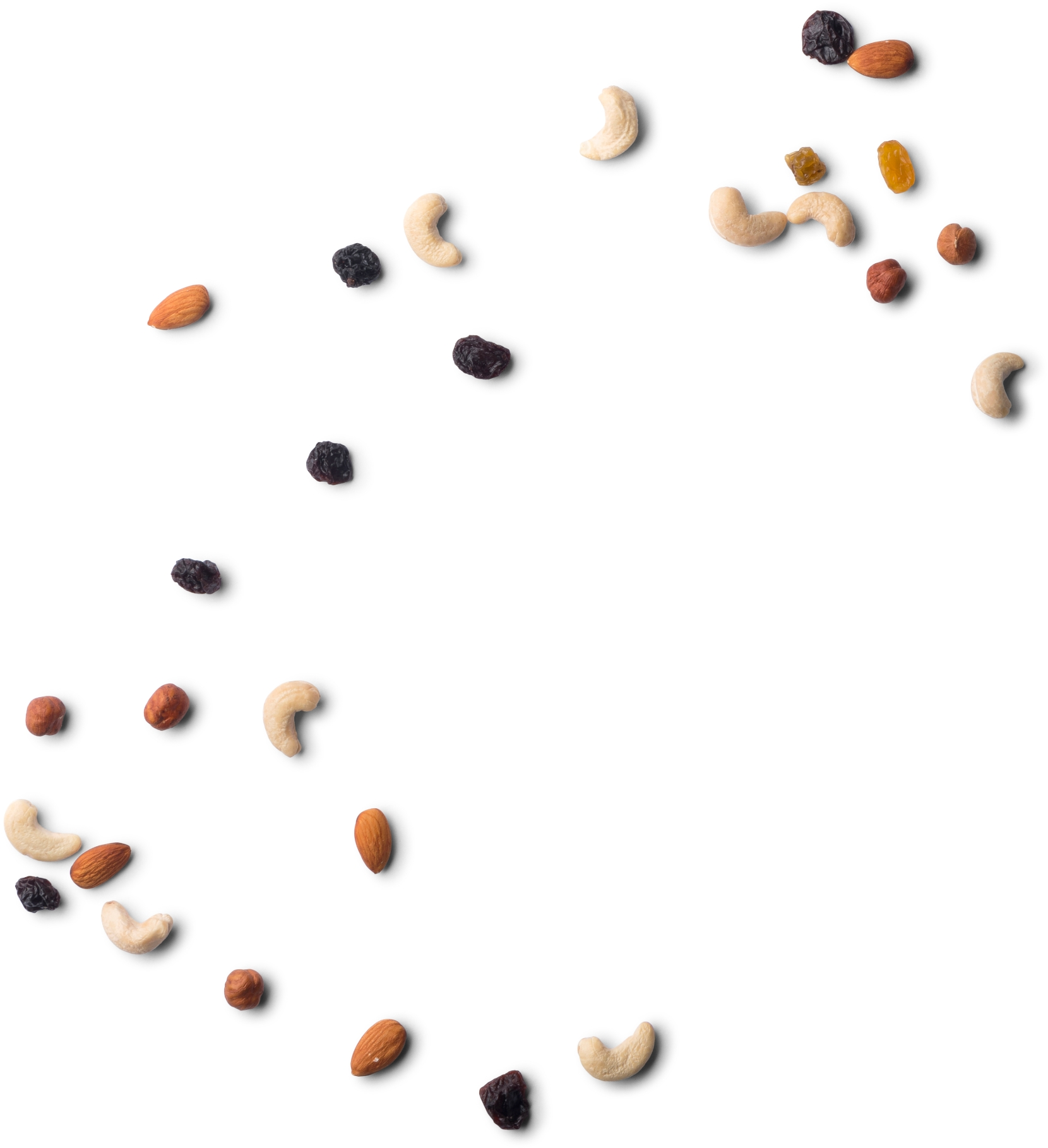 Illustration fruits à coques